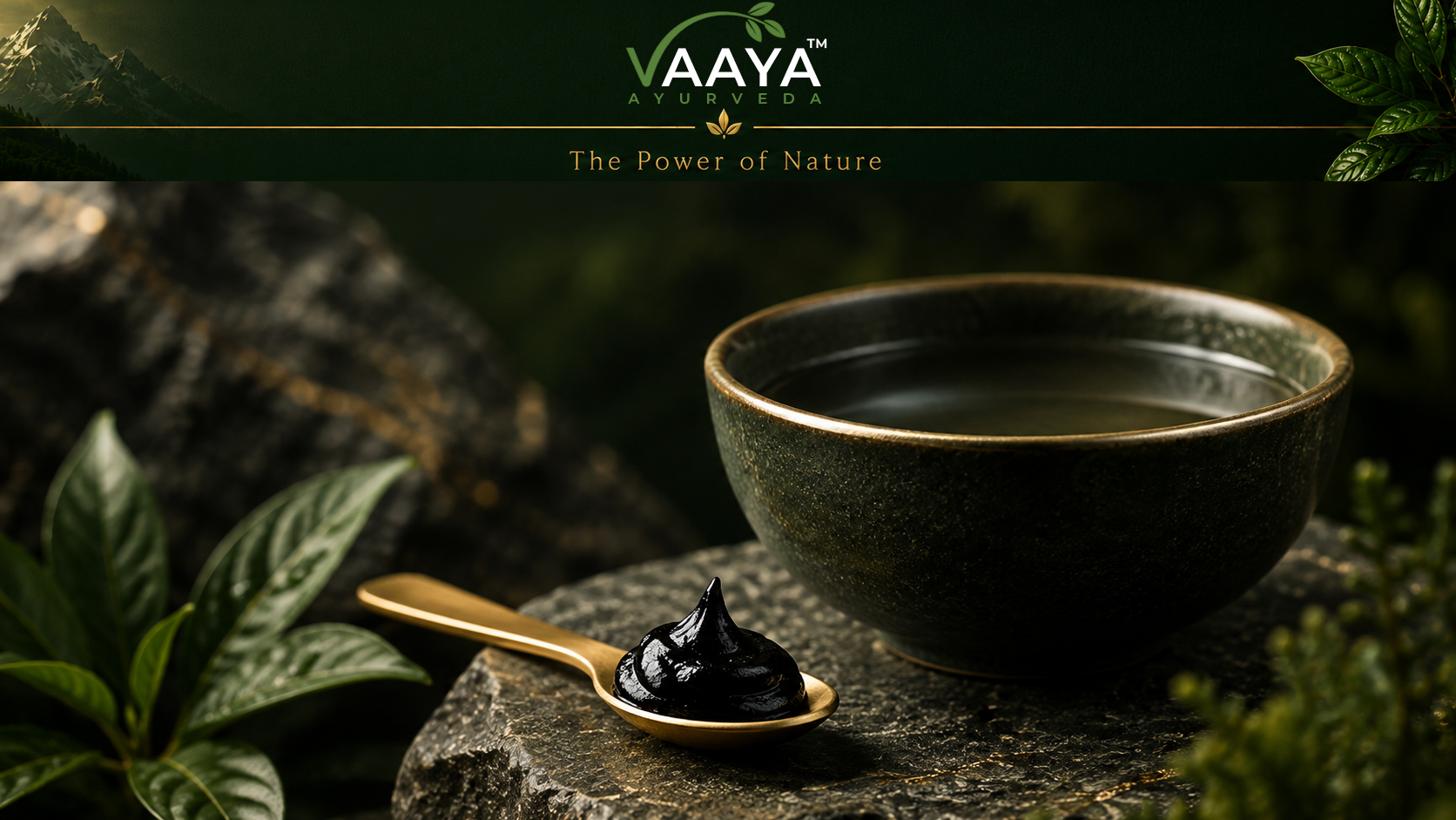 Premium editorial illustration of a small serving of Himalayan Shilajit resin on a gold spoon beside warm water against a deep forest-green background representing mindful daily wellness.